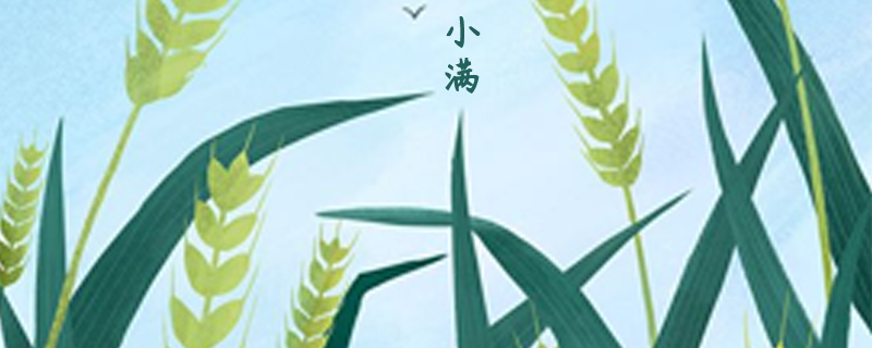 三伏天炎热对比