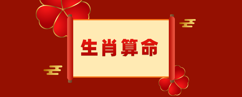 属鼠人性格特点