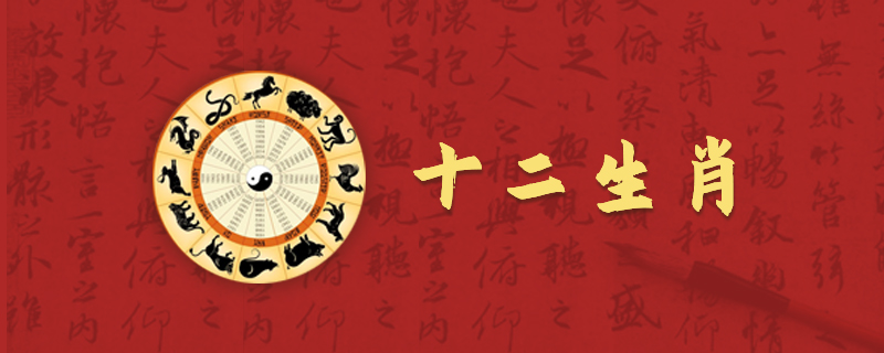 属虎男人的性格特质