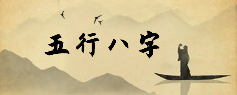 发财树养护与风水