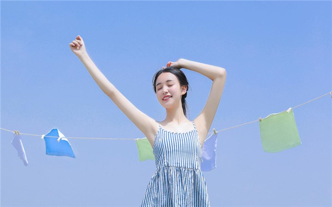 麒麟掌盆栽